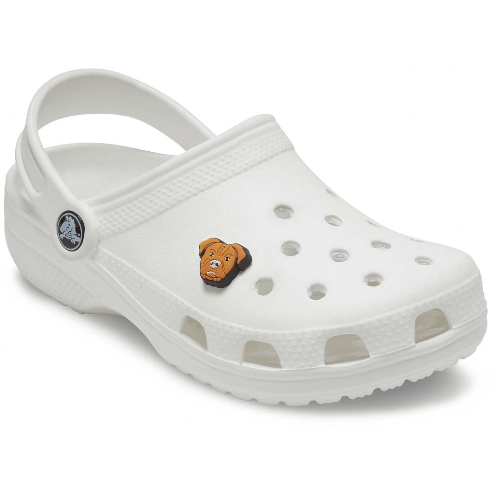 Clips Jibbitz Crocs Pitbull Multicolore Homme | DBU-2473237