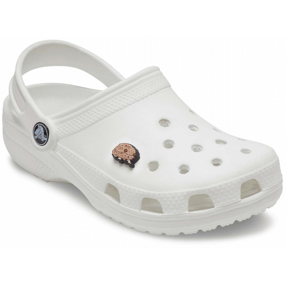 Clips Jibbitz Crocs Hedgehog Multicolore Homme | FPD-9862747