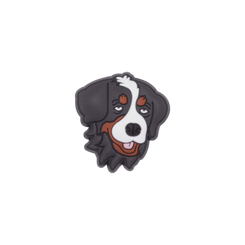 Clips Jibbitz Crocs Bernese Mountain Dog Multicolore Homme | YQN-4415057