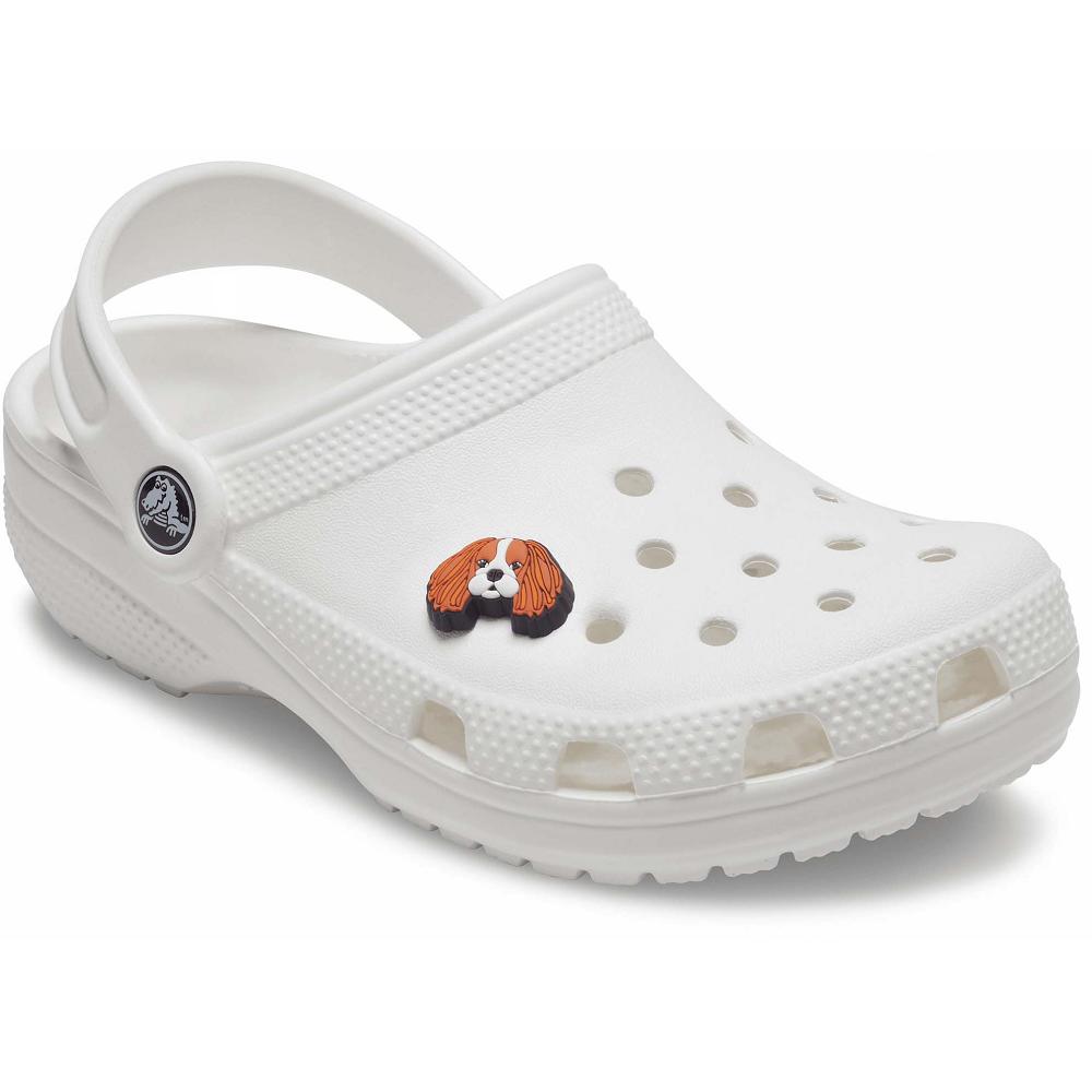 Clips Jibbitz Crocs Cavalier Dog Multicolore Homme | XZH-0445742